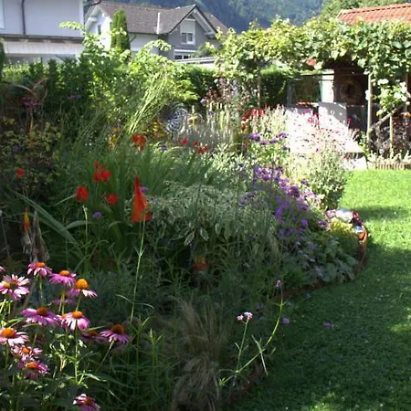 7号画廊公寓 * Riegersdorf