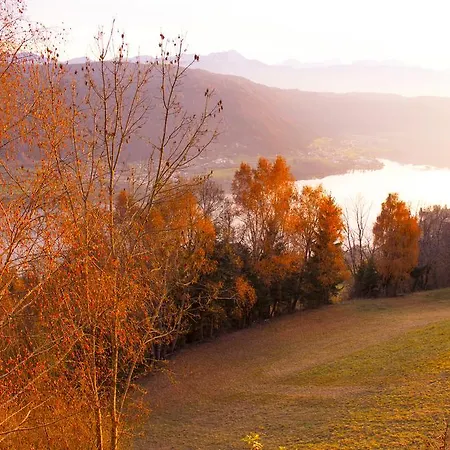 Apartman Galerie 7 *