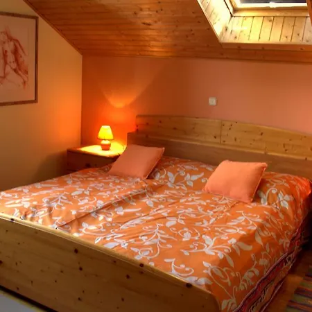 Galerie 7 Apartment *