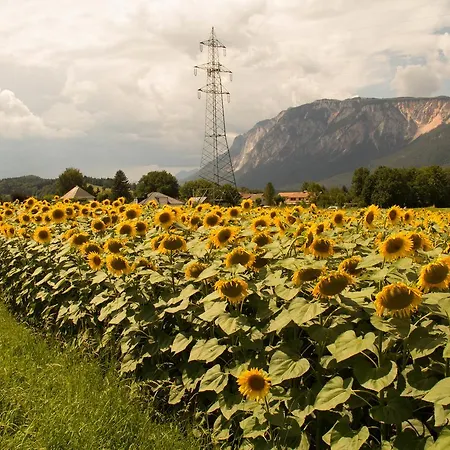 7号画廊公寓 * Riegersdorf